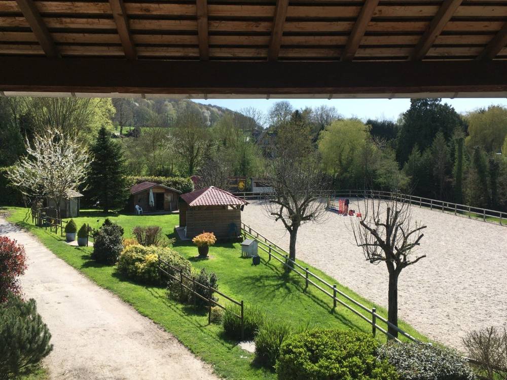 vente chevaux et poneys Saint-Gatien-des-Bois